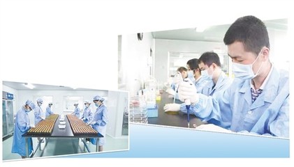 分子診斷站上“風口”，技術服務迎來新機遇