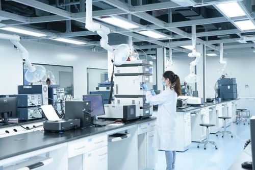 制度創新與科技創新雙輪驅動 廈門海滄打通助企紓困“最后一公里”技術服務